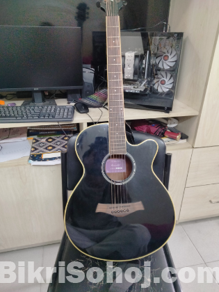 Guiter (Acoustica brand)